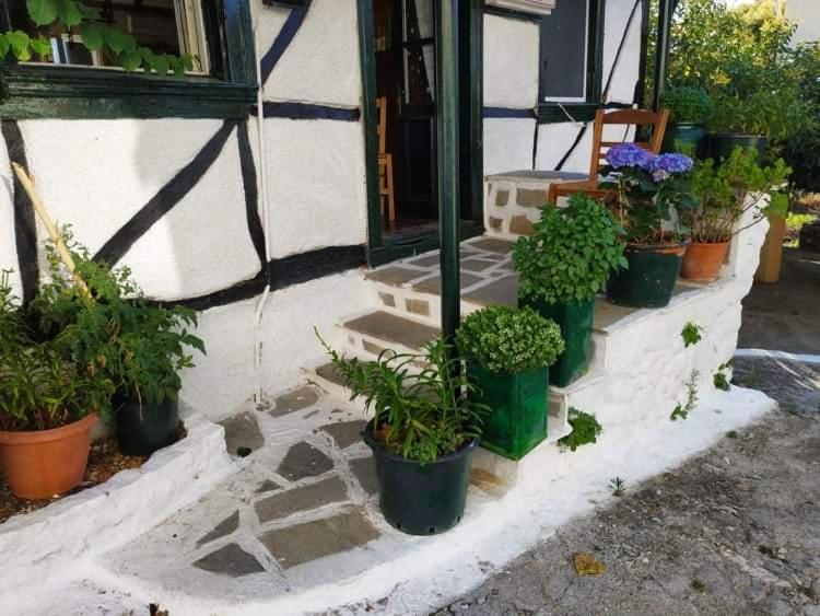 Lefkada Villas Panoramic Katúna Kültér fotó